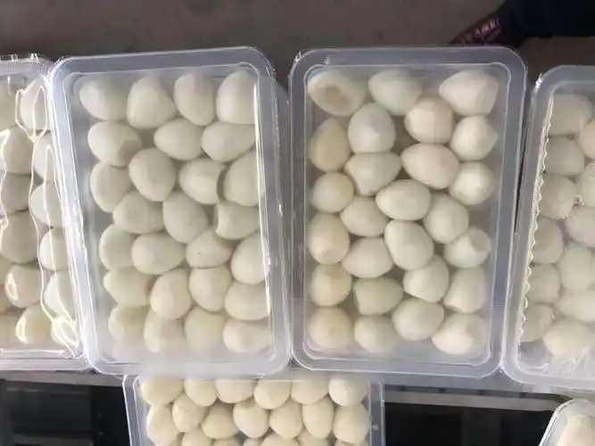 整線解決方案，優(yōu)化生產流程：鵪鶉蛋包裝神器來襲